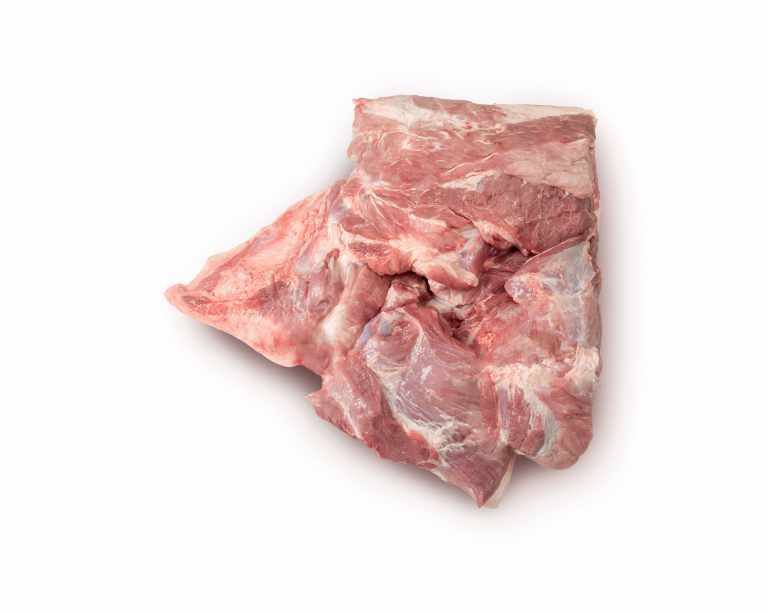 Shoulder, without Trotter