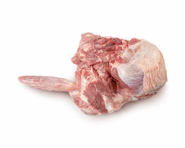 Leg, without Trotter